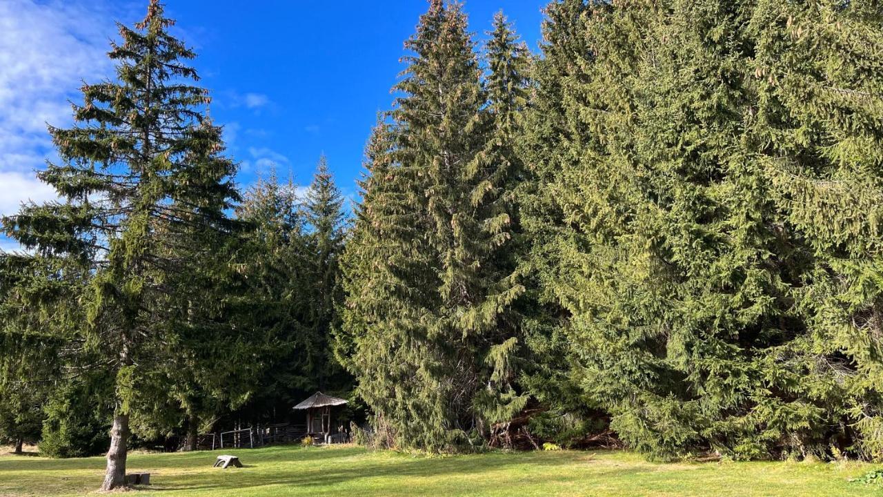 Апартамент Горска Приказка - Forest Tale Smolyan Exterior foto
