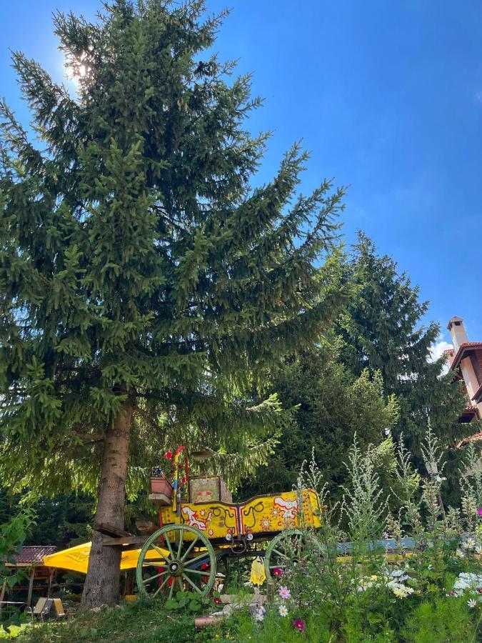 Апартамент Горска Приказка - Forest Tale Smolyan Exterior foto